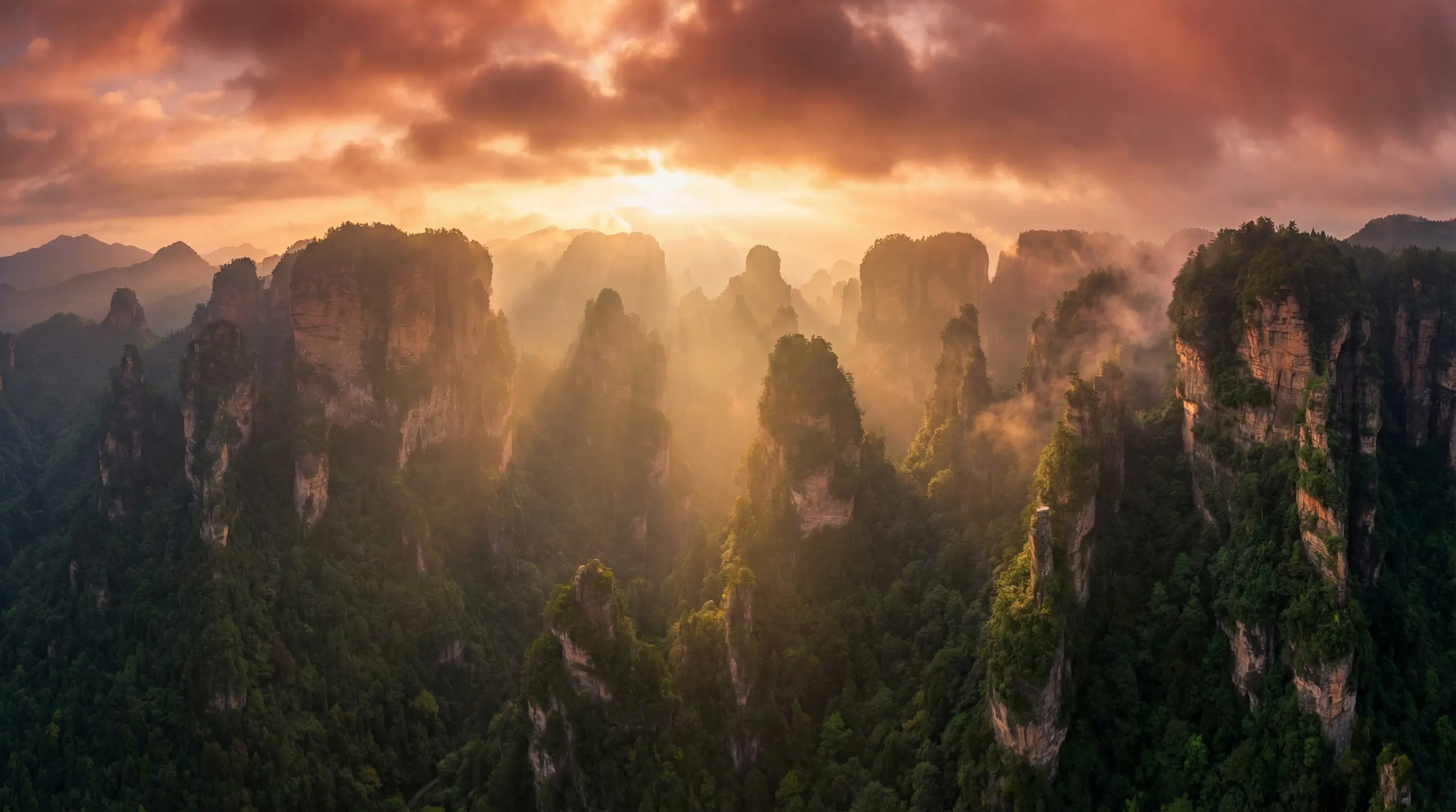 一个人看的免费高清在线观看 自然风光视频封面